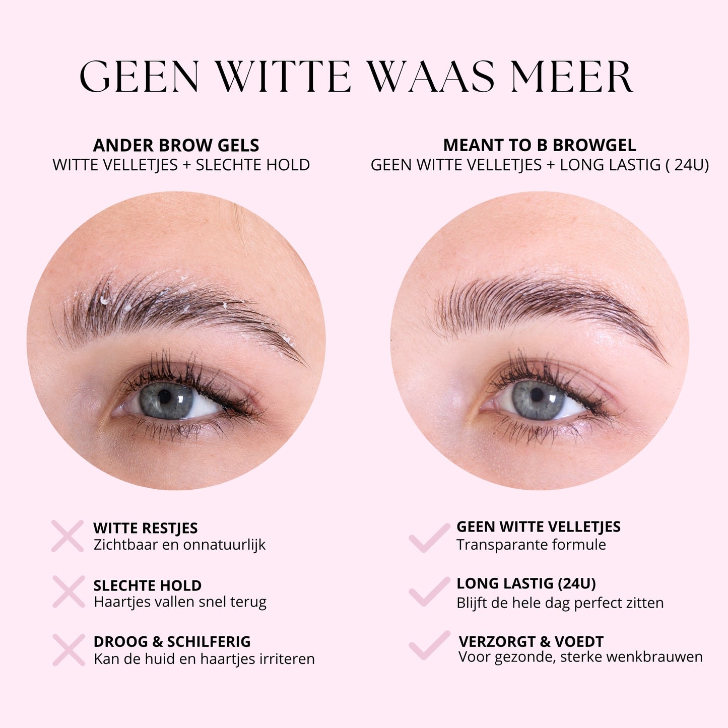 WENKBRAUWGEL VOEDEND