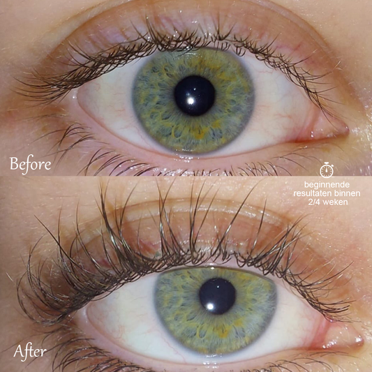 PERFECT LASH DEAL