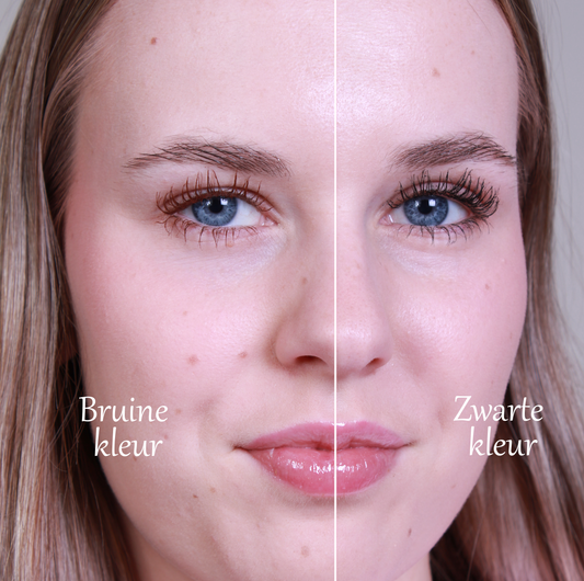 PERFECT LASH DEAL - BRUIN