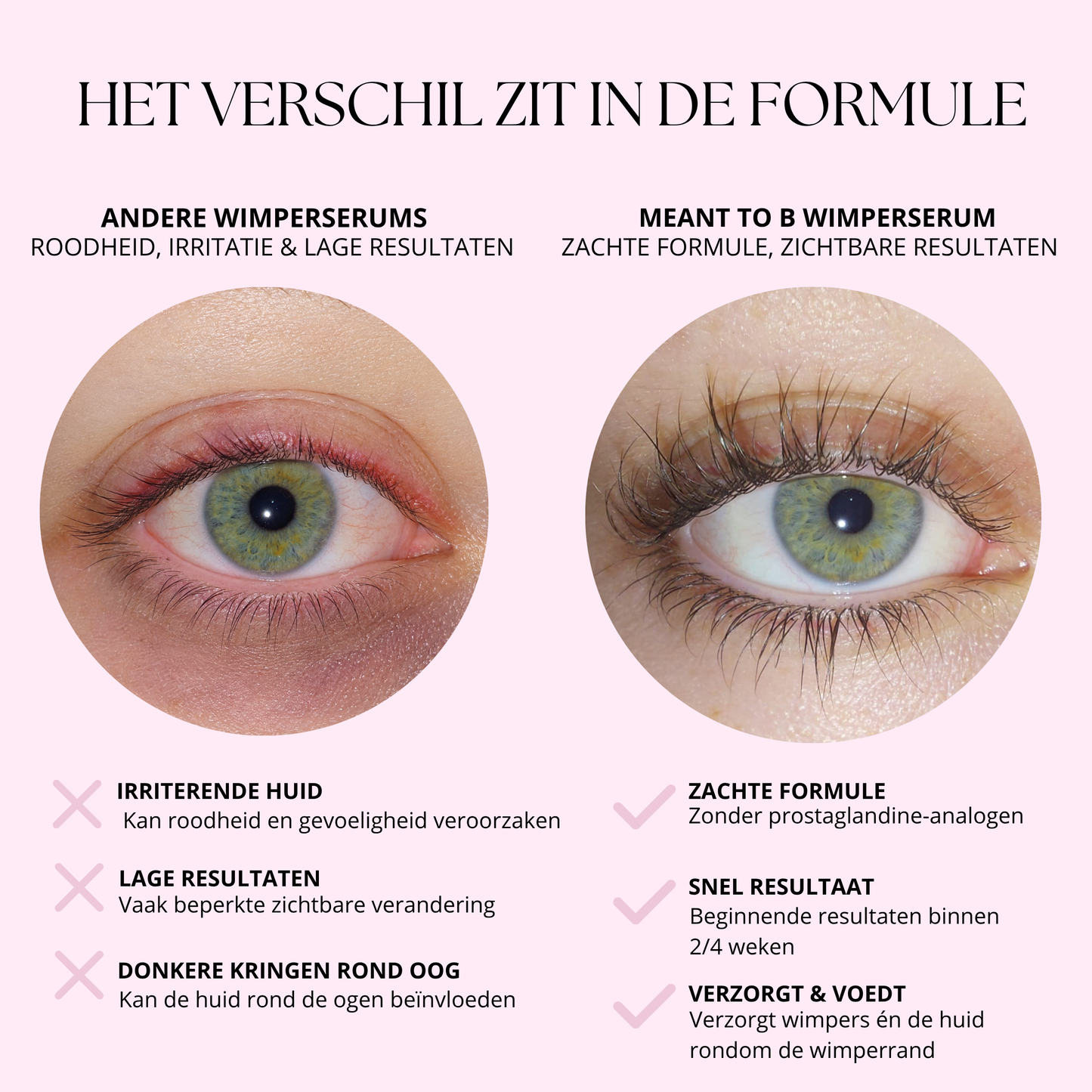 WIMPERSERUM
